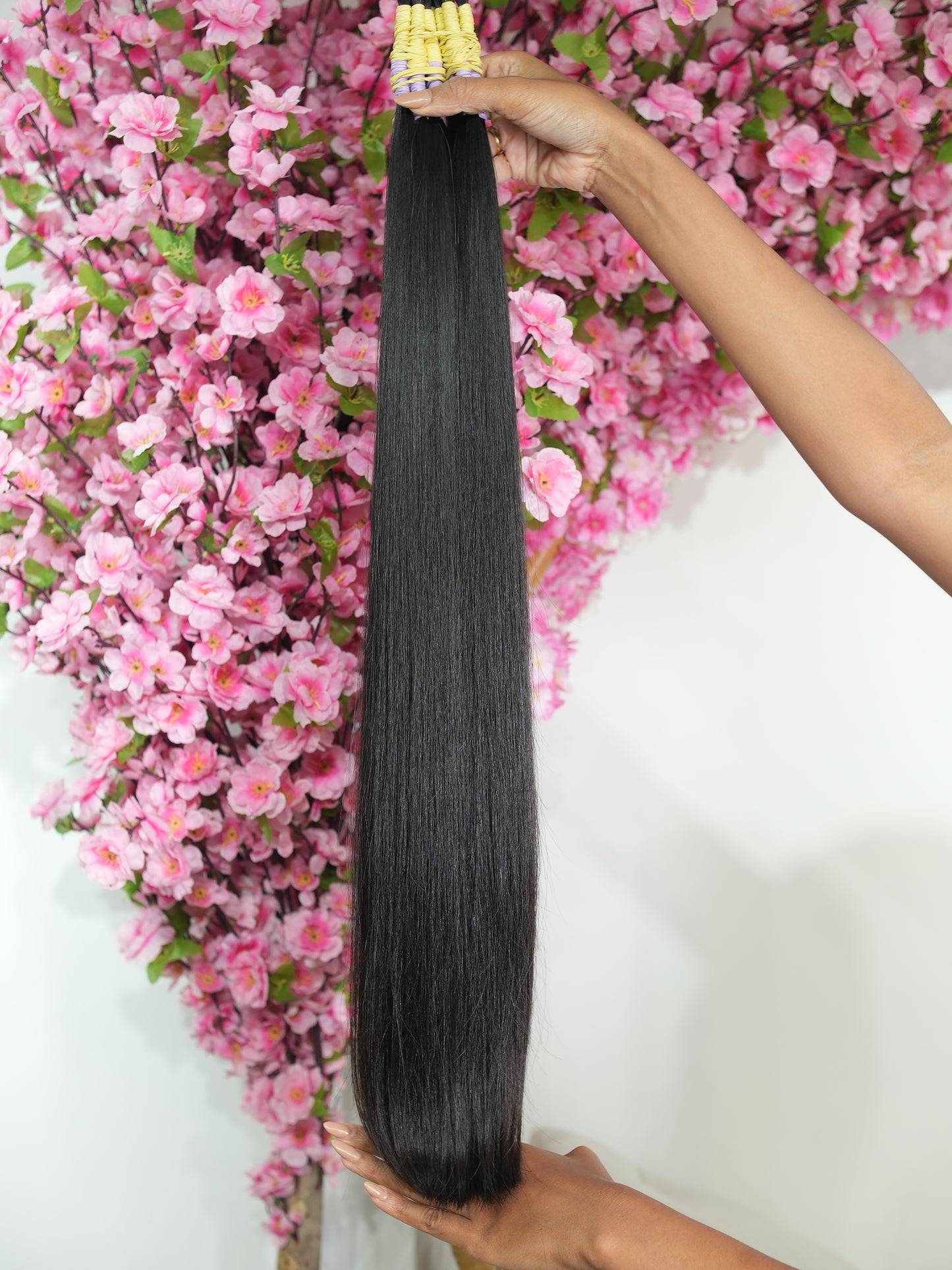 Brasileiro Castanho 70/75CM