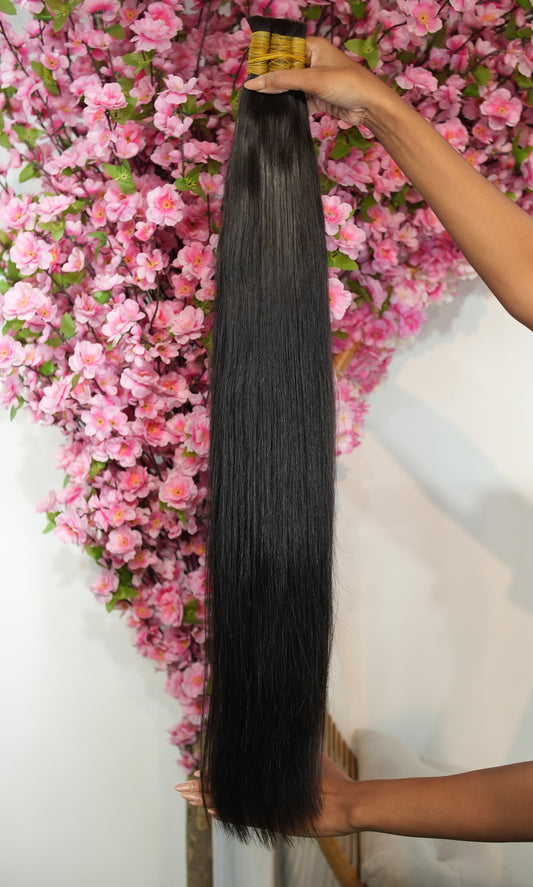 Vietnamita Castanho 70/75CM